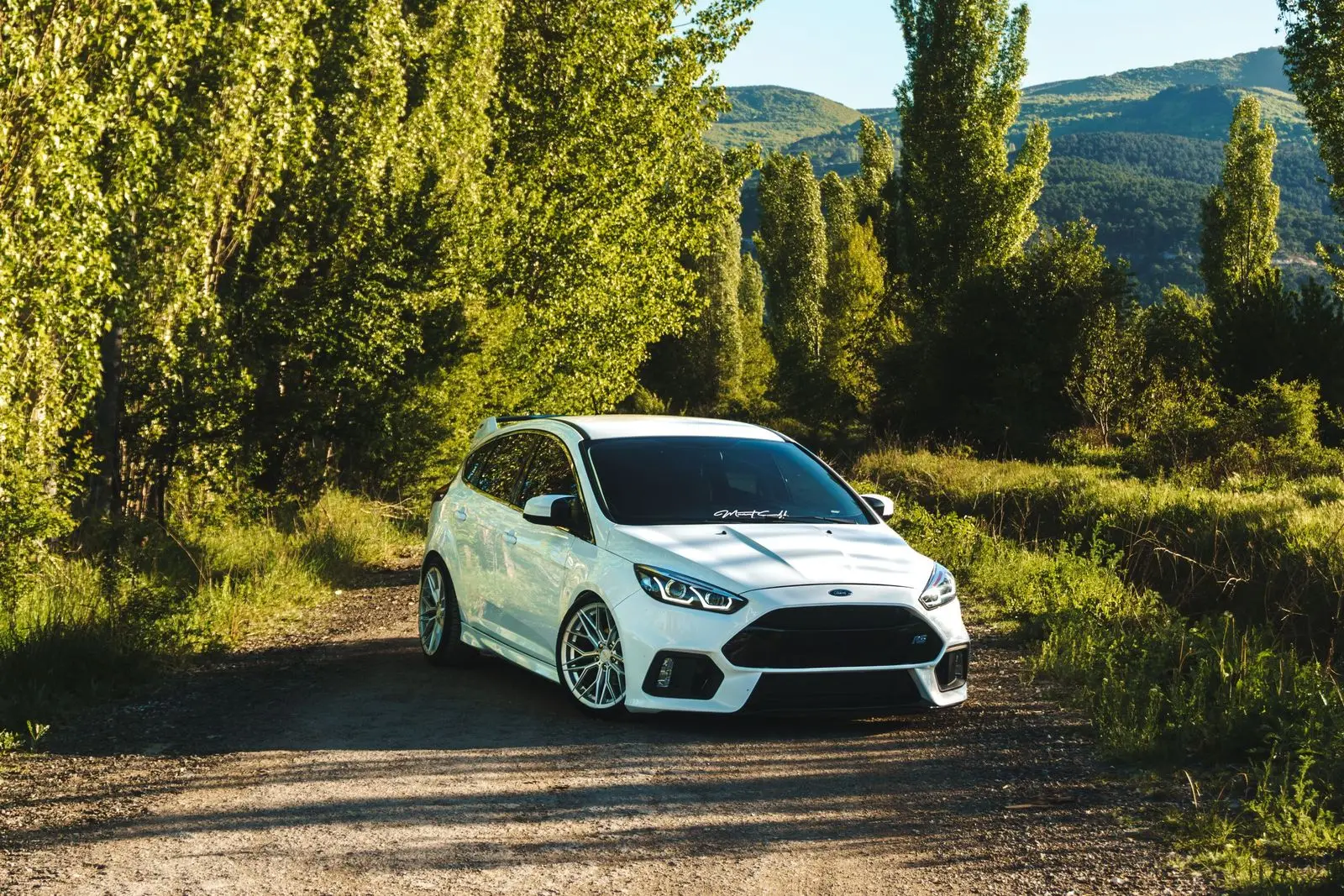 Kavak ağaçları arasında beyaz hatchback